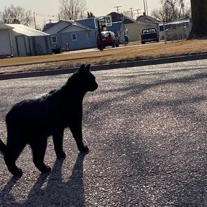 Meet your Posher, Zoe